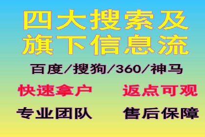某企业SEM广告投放的ROI提升策略及效果展示